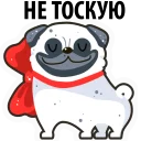 Sticker White Pug @stickersb2b - 11