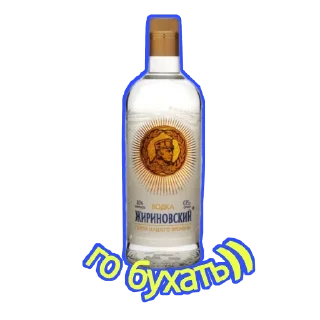 Sticker ЖИРИНОВСКИЙ - 9