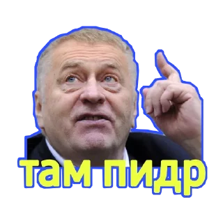 Sticker ЖИРИНОВСКИЙ - 10