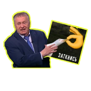 Sticker ЖИРИНОВСКИЙ - 2