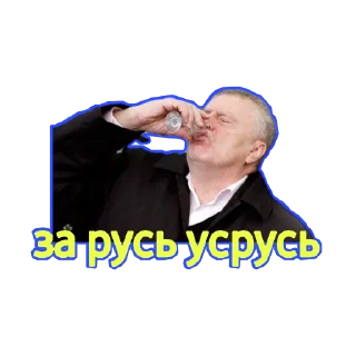 Sticker ЖИРИНОВСКИЙ - 5