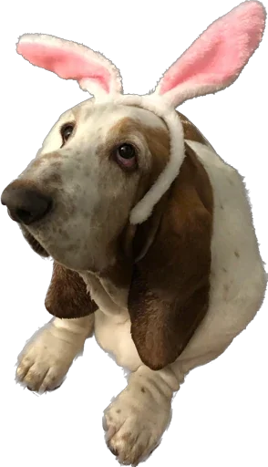 виня от слова win - 