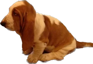 Стикер виня от слова win - 3