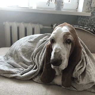 Стикер виня от слова win - 5