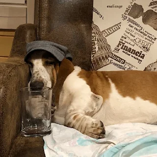 Стикер виня от слова win - 9