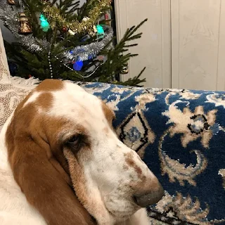 Стикер виня от слова win - 11