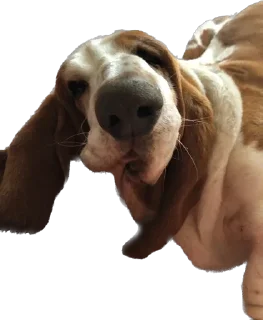 Стикер виня от слова win - 7