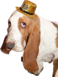 Стикер виня от слова win - 6