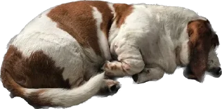 Стикер виня от слова win - 4