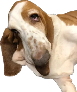 Стикер виня от слова win - 1