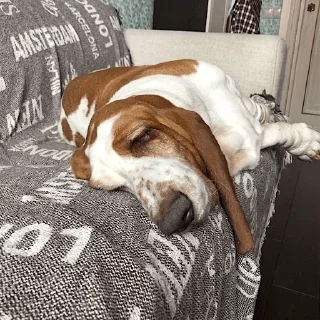 Стикер виня от слова win - 2