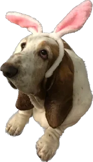 Стикер виня от слова win - 10