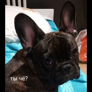 Стикер Grubrusya  @stikersvtg - 6