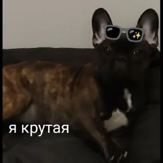 Стикер Grubrusya  @stikersvtg - 5