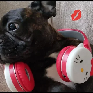 Стикер Grubrusya  @stikersvtg - 0