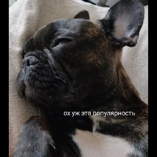 Стикер Grubrusya  @stikersvtg - 4