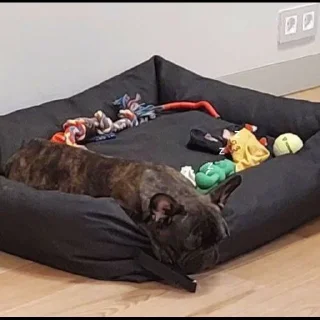 Стикер Grubrusya  @stikersvtg - 2