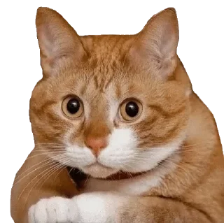 Sticker безногий пак - 7