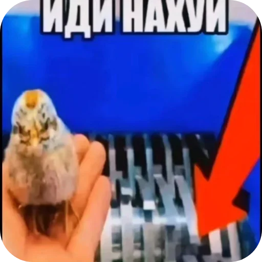 Sticker WNxwnnl_by_achestickbot - 1