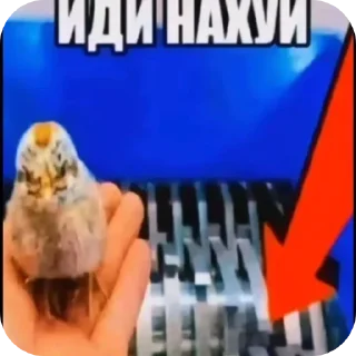 Sticker Больше стиков тут: @stikery4 - 10