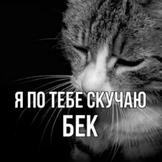 Стикер опг шипованные прокладки - 1