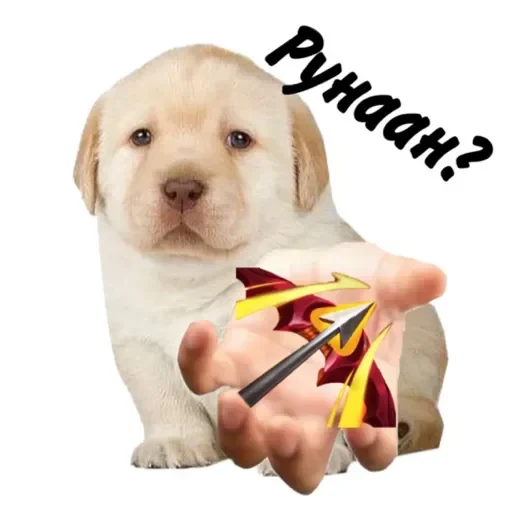 Sticker WRmoment - 1