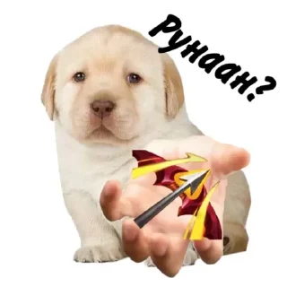 Sticker WR moment - 5