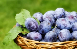 Sticker Пак создан в @moyi_stikery_bot - 2