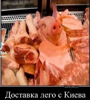 Sticker Пак создан в @moyi_stikery_bot - 10