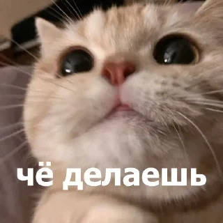 Стикер Стикеры тут: @stikeryv - 8