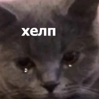 Стикер Стикеры тут: @stikeryv - 3