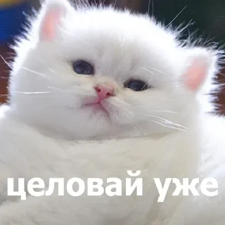 Стикер Стикеры тут: @stikeryv - 11