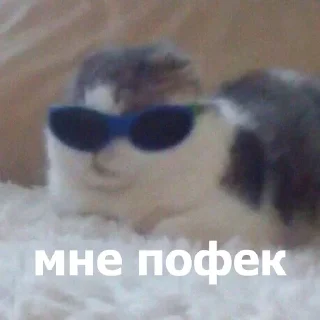 Стикер Стикеры тут: @stikeryv - 1