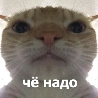 Стикер Стикеры тут: @stikeryv - 2