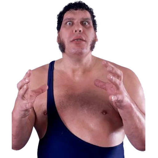 Стикер WWE - 9