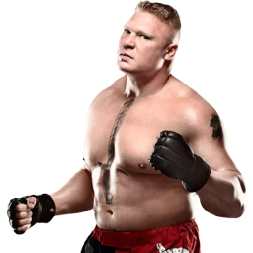 Стикер WWE - 6