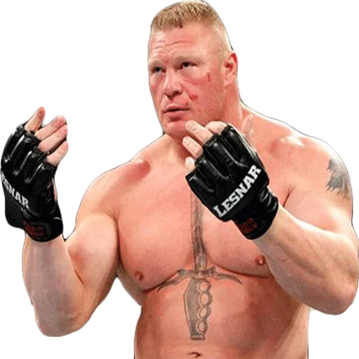 Стикер WWE - 1