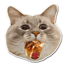 Sticker WWFOX_MESIVO - 1