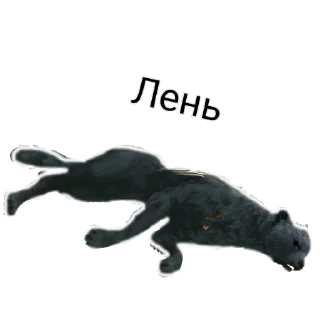 Стикер WildCraft - 6