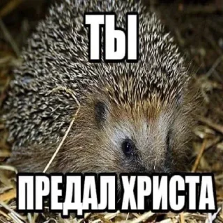 Стикер Больше стикеров 👉🏻 @stickertg4 - 9