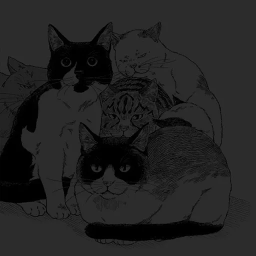 млекопитающее эскиз рисование