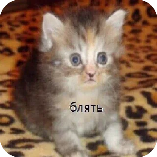 Sticker WAFFLEHIVE - 5