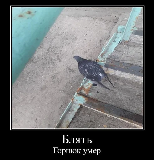 Стикер WaldoHymnsSpacy :: @fStikBot - 11