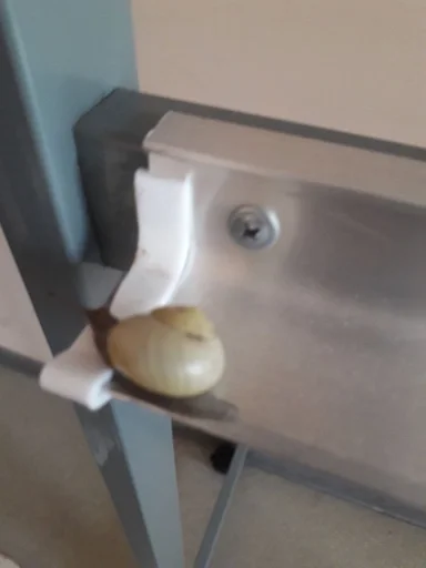 Стикер WaldoHymnsSpacy :: @fStikBot - 9