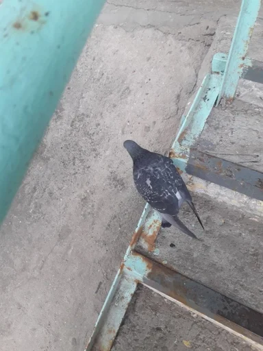 Стикер WaldoHymnsSpacy :: @fStikBot - 4