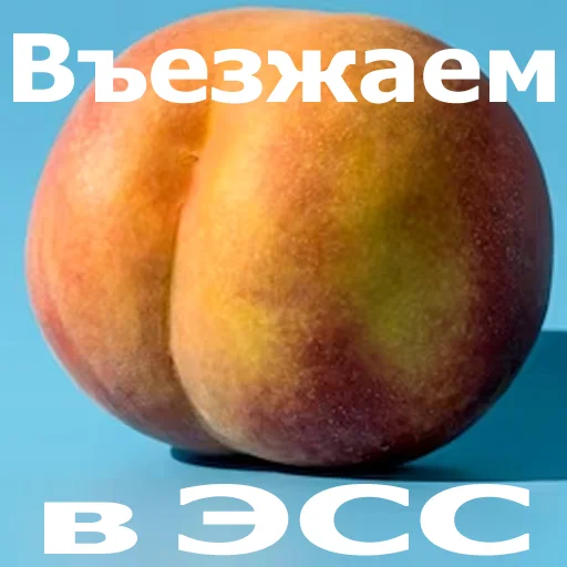 Стикер WanderPw - 1