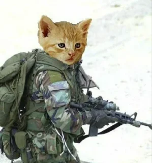 Стикер War cat - 3