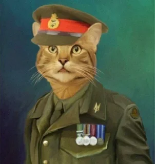 Стикер War cat - 0