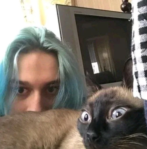 я люблю иваназоло и некоглая :: @fStikBot - Человек