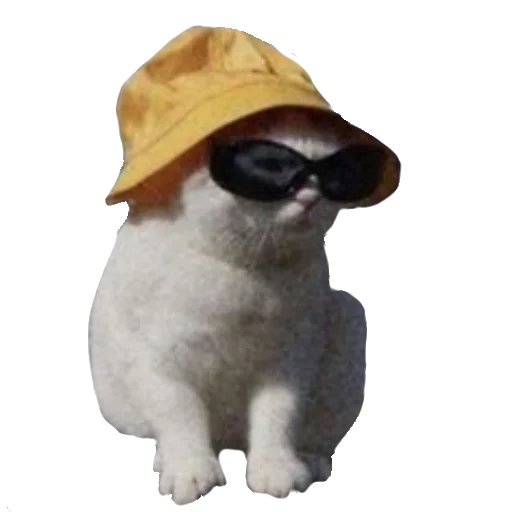 Sticker Warrior_cats_memes_and_arts - 1